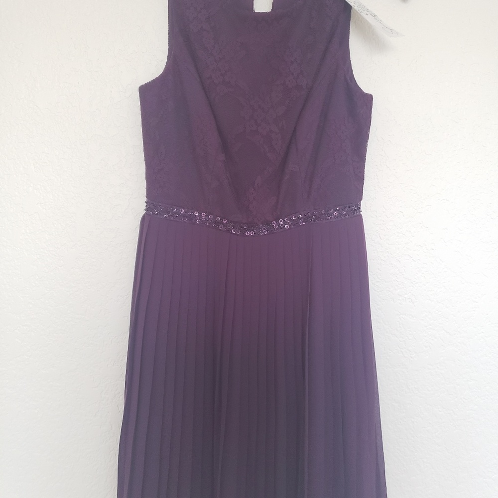 Plum Lace Sleeveless Fit n Flare Dress